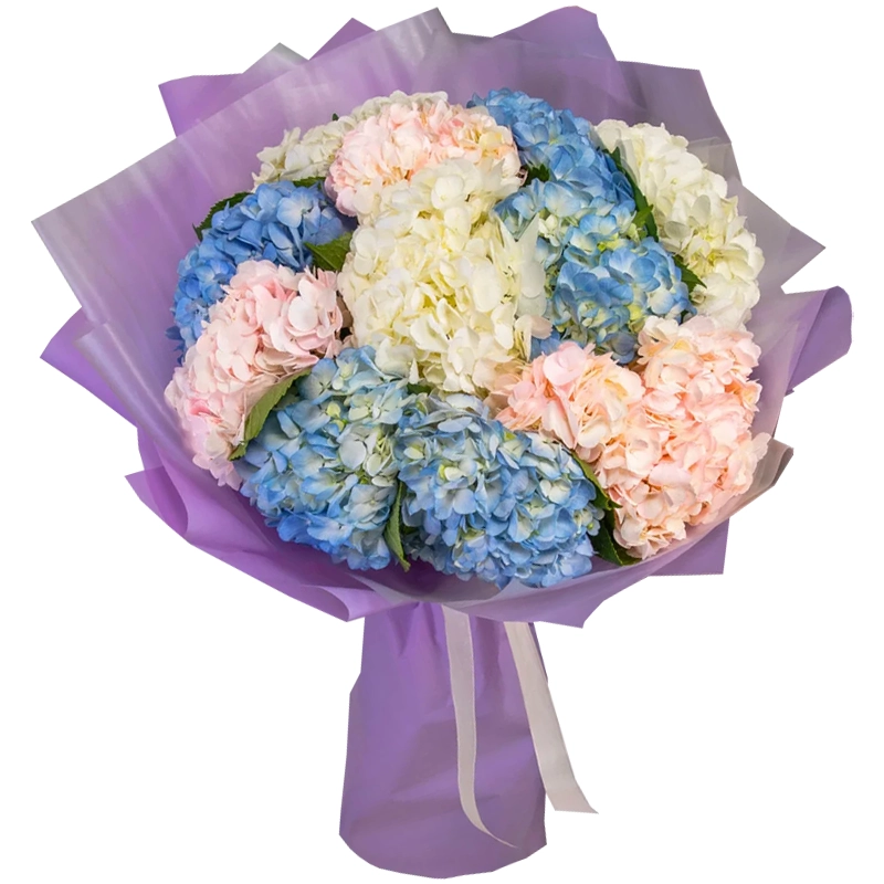 Букет из 11 разноцветных гортензий
