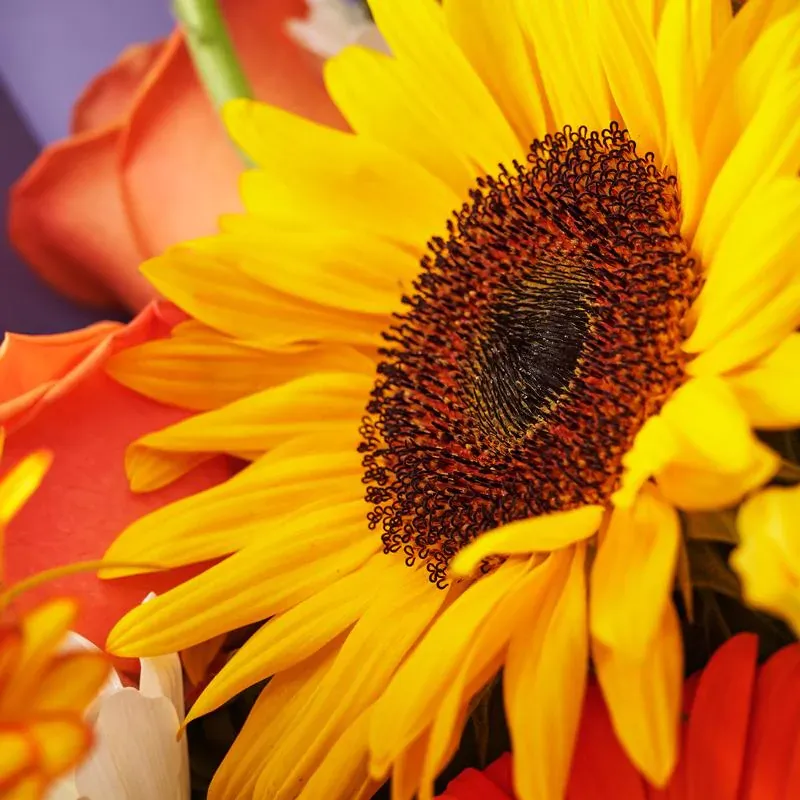 Букет Золотой слиток